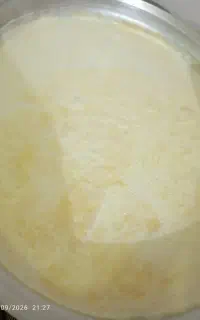 شیرمحلی پرچرب