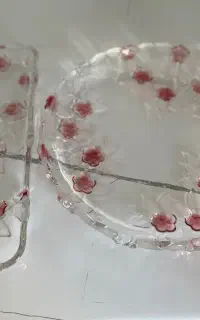 ظروف پذیرایی