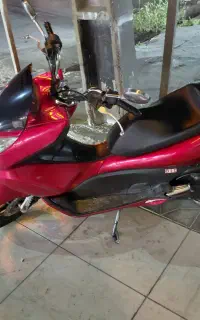 pcxتک رنگ خاص