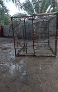 قفس یک متر 10طول یک متر 10عرض یک متر ارتفاع