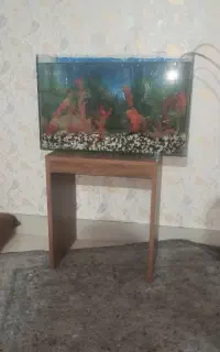 آکواریوم درجه 1