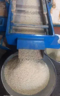 فروش برنج عنبر بو  گوراب