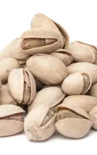 پسته