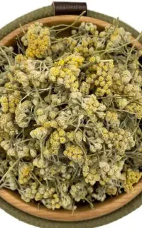 آموزش درآمدزایی در منزل