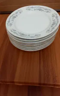 پیش دستی چینی حمید