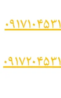 ۰۹۱۷۱۰۴۵۳۱۱