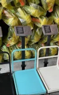 باسکول‌ های گاردداروتاشو