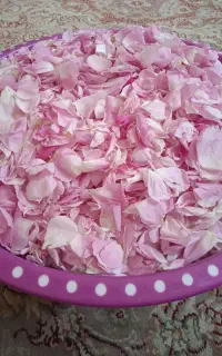گلاب و عرقیجات