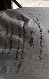 بذر شالی ندا