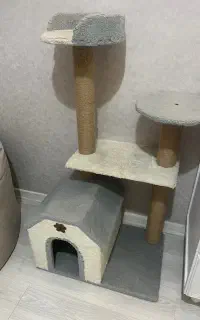 اسکرچر گربه