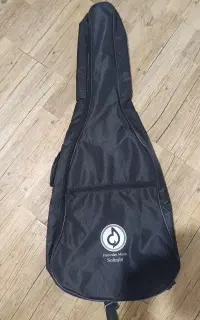 کیف گیتار
