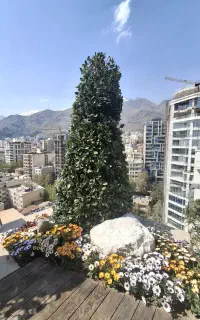 طراحی و اجرای فضای سبز