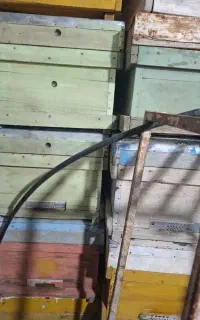 کندو زنبور استوک