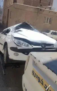 ۲۰۶ اس دی چپی