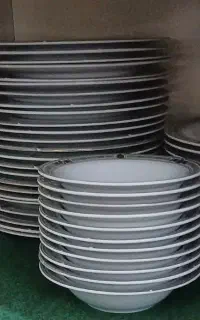 ظروف چینی