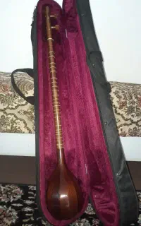 سه‌تار حرفه ایی دست ساز استاد هاتف با هاردکیس