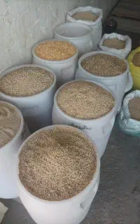 خریدار محصولات کشاورزی