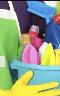 خانم جهت امور منزل