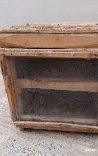جعبه دوطبقه خوراک جفت گیری کفتر