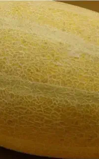 خریدار  خربزه درجه یک سر باری
