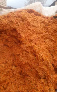تفاله گوجه
