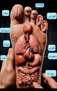 مشاوره تسکین عضلات مشاوره میدم