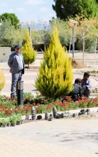 خدمات باغبانی کاشت گل گیاه باغچه تعویض خاک گلدون