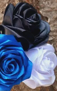 گل روبانی