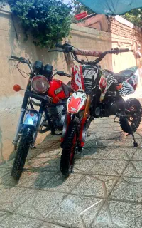 مینی کراس و ایژ