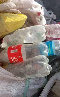 شیشه خانواده