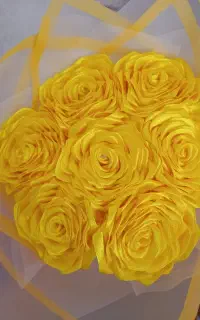 گل به رنگهای مختلف