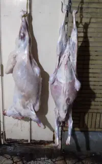 قصاب حرفه‌ای