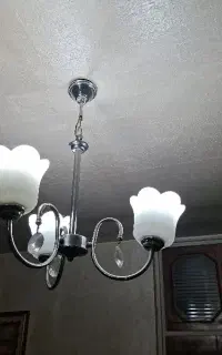 لوستر