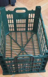 سبد سیب تعداد زیاد