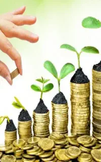 سرمایه گذاری در هلدینگ تولیدی و صادراتی