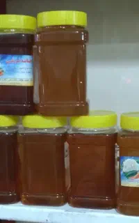 عسل سبلان
