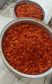 بندری درجه یک و فلافل