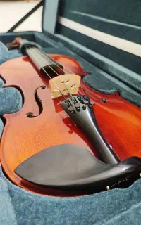 ویولن M.V146 در حد نو