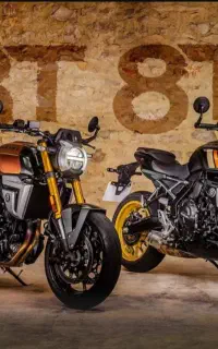 سرامیک  موتور سیکلت فقط ۵ ت