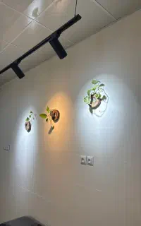 استخدام باریستا