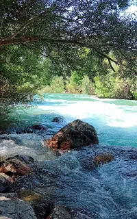 ویلالب اب  ،رفتینگ