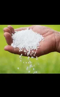 کود کلسیم