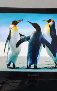 کامپیوتر کامل،شامل کیس،مانیتور و همه قطعات
