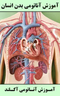 دوره طب سنتی و کایروپراکتیک با اف ۵۰ ٪مدرک معتبر