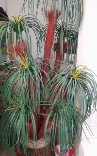 گل مصنوعی