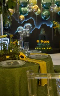 اجاره سالن اجتماعات عقد نامزدی بله برون تولد