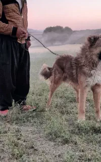 سراب ذات قدیم ۱۱ ماه