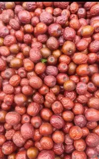 عناب تازه امسال لرستان
