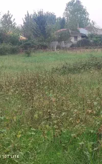 خدمات چمن‌زنی با دستگاه در محل