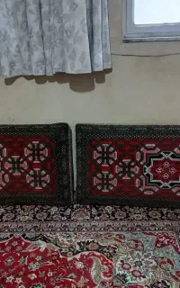 ۲جفت پشتی